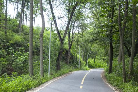 常德河洑森林公园,森林植被,自然风景,摄影素材,汇图网www.huitu.com