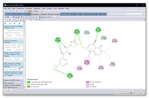 分子动力学模拟软件_分子模拟软件Discovery Studio教程(二十)：多点氨基酸同时突变提高结合亲和力...-CSDN博客