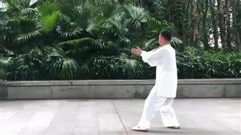 二十四式简化太极拳 音乐：《角落之歌》_腾讯视频