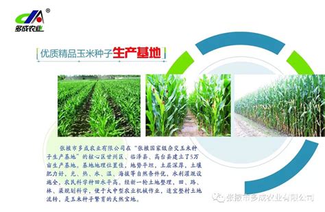 热烈祝贺张掖市多成农业有限公司被评为2017年度信用等级AAA级企业！！