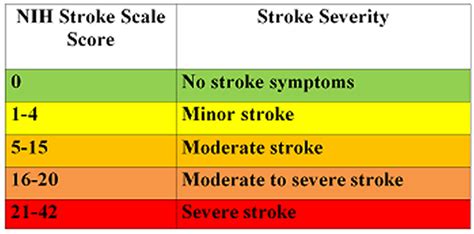 NIH Stroke Scale Chart