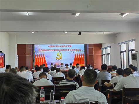 东安县成立首个乡镇“两新”综合党委 - 永州 - 新湖南