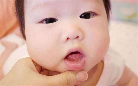 超早早产儿仅巴掌大小 780克小婴儿等待爱的援手_社会_温州网