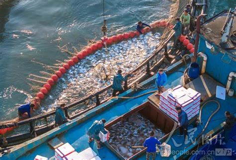 漳州渔民捕到一条鱼，卖了82万！ | Amoy厦门：生活乐趣