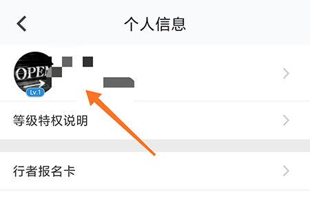 非主流头像替换软件