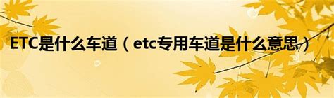 ETC是什么车道（etc专用车道是什么意思）_科学教育网