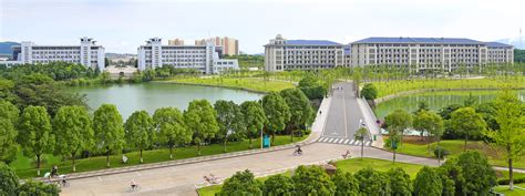 安徽安庆：刘纪社区组织开展安全教育进校园活动 - 中国网