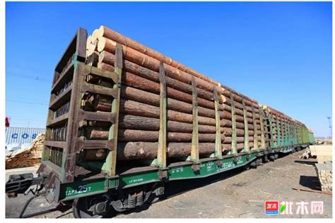 首单运贸一体化进口木材抵达武汉阳逻港-木业网