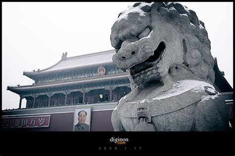 北京2008第一场雪 - 摄影作品 - 蓝色理想