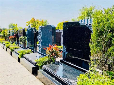上海墓地价格表2022（上海及周边陵园53家公墓一览表 - 知乎