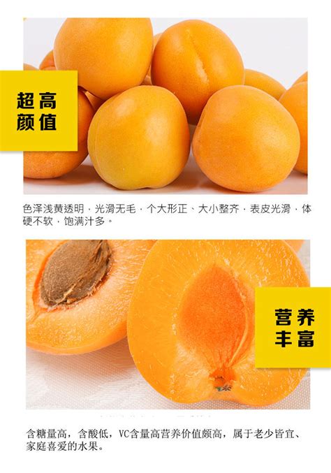 现摘新鲜杏子东北大黄杏金太阳梅子孕妇酸甜水果当季水果批发包邮-阿里巴巴