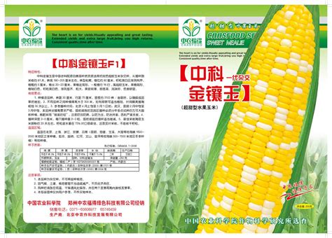 吉农糯7号 - 产品展示-北京金农科种子科技有限公司