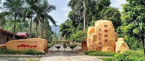 探访国内最大的鸸鹋养殖基地：新華鸸鹋文化生态园 - 新华媄致