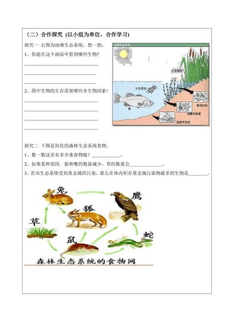 北师大版初中生物七年级下册生物书 北京师范大学出版社 教科书教材课本 北师版 生物学初一下期7年级下册七下(ZX)L新课标生物7下-卖贝商城