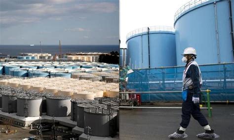 日本早排放核废水了？福岛海域海鲈鱼放射性铯超标！渔民：第一次|废水|福岛|超标_新浪新闻