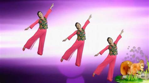广场舞中三基础舞步分解教学 最简单的学跳广场舞视频