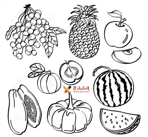 50种水果简笔画法 50种水果简笔画法图片 | 抖兔教育