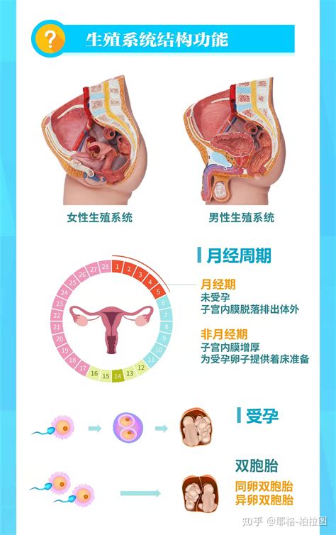 医美私密男性女性生殖健康两性系列海报PSD广告设计素材海报模板免费下载-享设计