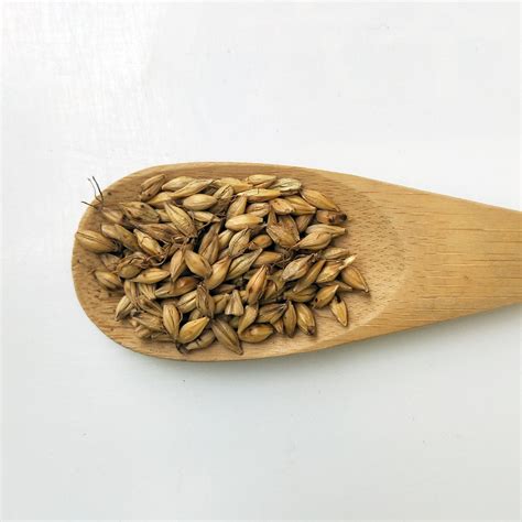 山东天久生物提供麦芽粉（麦精），大麦芽提取物，纯山药粉 - FoodTalks食品供需平台