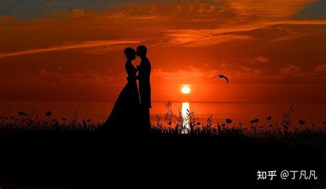 日落海岸线的情侣高清图片下载-正版图片600072657-摄图网