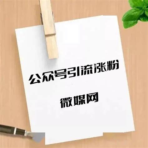 微信公众号引流痛点有哪些？微媒网增粉平台可以帮您解决什么粉丝难题？-微媒网络