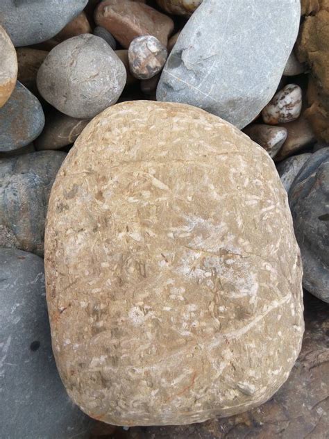 捡石头价值近百万：什么样的石头揭晓网友表示天上馅饼_知秀网