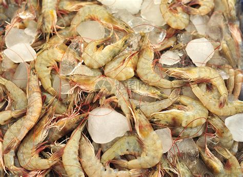 皮皮虾食品海鲜海产水产摄影图配图高清摄影大图-千库网