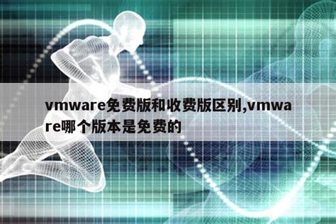 kvm和vmware哪个稳定流畅,kvm和vmware哪个好|仙踪小栈