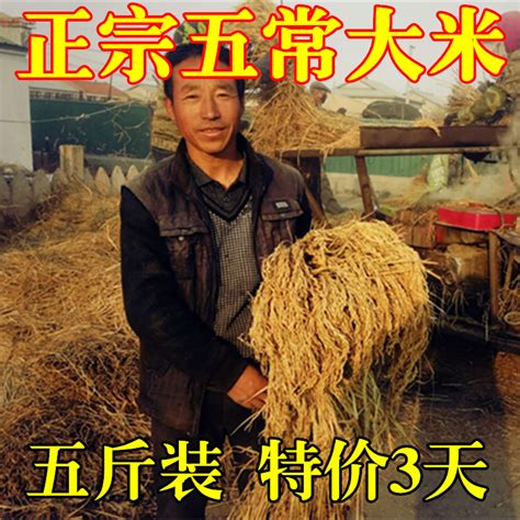 2022新米五常大米稻花香2号大米东北黑龙江长粒米农家自产5kg包邮-淘宝网