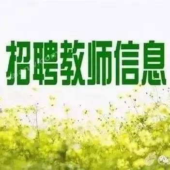 【招教】镇平县2017年公开招聘中小学校教师第1号公告