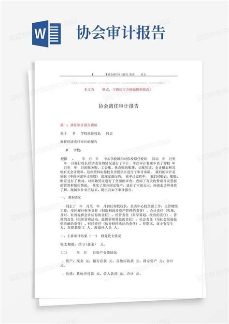 广州正阳2017年法人离任审计报告-广州正阳社工