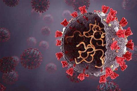 流感和新型冠状病毒肺炎有哪些不同?__凤凰网
