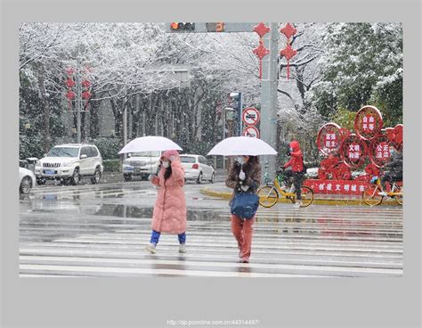 【记录2008年1月的一场雪摄影图片】巴中生态摄影_巴中杨通·本色摄影·自娱自乐_太平洋电脑网摄影部落