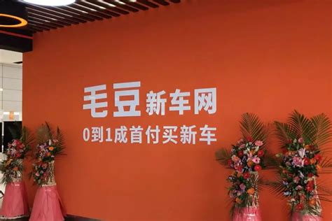毛豆新车参与"双品网购节" 推1.3亿补贴助力汽车消费——上海热线汽车频道