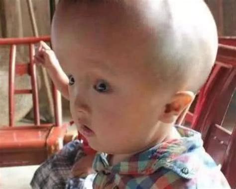 “三鹿奶粉”老板田文华，残害30万中国婴儿，为何能5年减刑3次？_牛奶厂_集团_利益