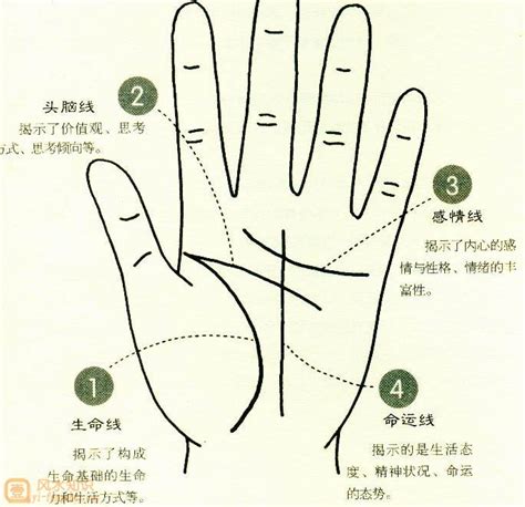 怎么看手相图解女图片 怎么看手相图解女图片