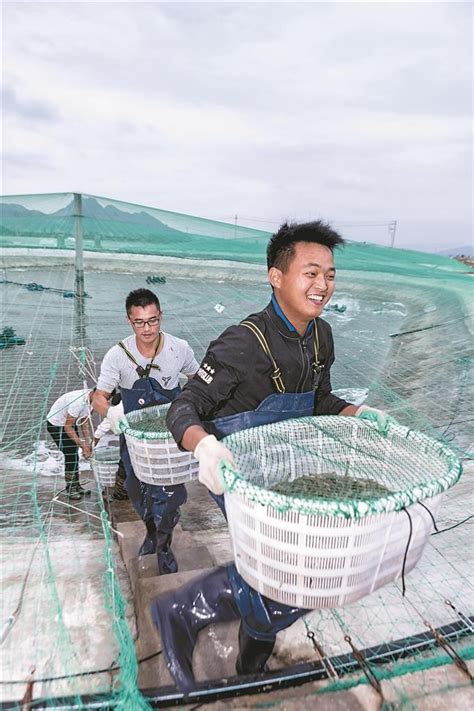 海洋学院2021级水产养殖学专业学生在文昌水产养殖基地进行实习活动-学生工作部(处)