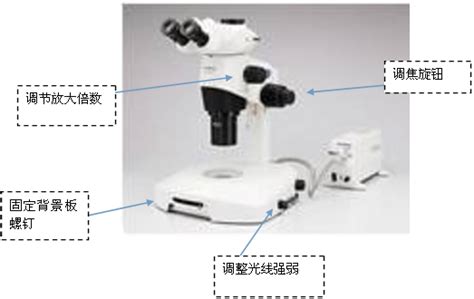 光学显微镜的结构和使用方法_景通仪器