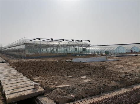 菏泽有机地标高效农业科技示范园