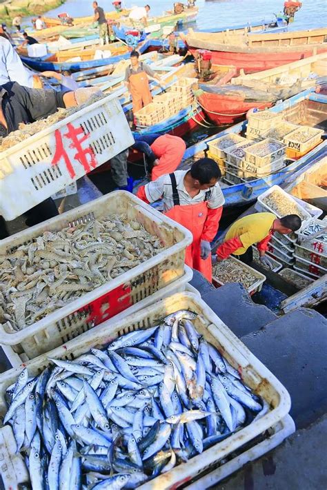 兴旺海鲜城 | 水产批发市场吃海鲜，没有中间商赚差价_厦门