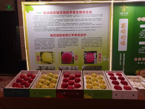 聚焦中国市场 2016香港亚果展新品荟萃 | 国际果蔬报道
