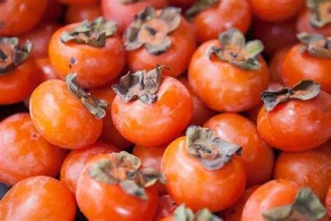 柿子什么季节成熟-柿子几月份可以吃 - 见闻坊