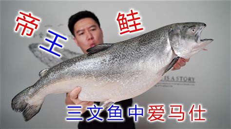 海鲜 冰鲜三文鱼帝王鲑新西兰 寿司即食刺身日料称重销售7~9斤/条-阿里巴巴