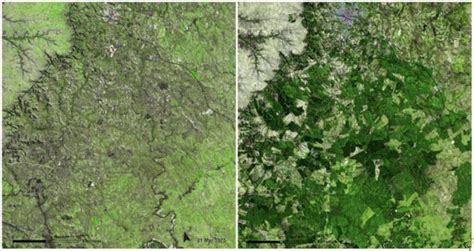 直击美国国家航空航天局通过照片对比，看看地球几十年的变化