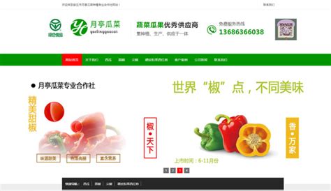 潍坊安丘：让更多消费者共享出口级优质农产品_潍坊要闻_潍坊_齐鲁网