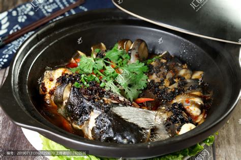 剑骨鱼图片
