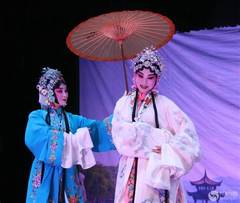豫剧表演艺术家王清芬经典作品研讨会在郑举行 - 河南省文化和旅游厅