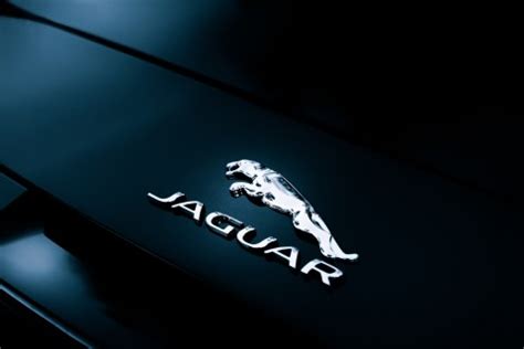 捷豹(Jaguar)标志Logo设计含义，品牌策划vi设计介绍 | 德启广告