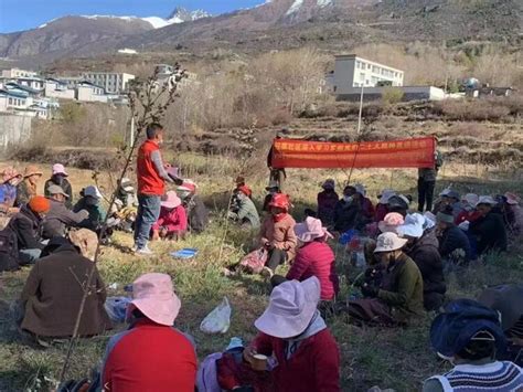 党的二十大精神在基层丨西藏洛扎：让格桑花在边境一线开得更盛