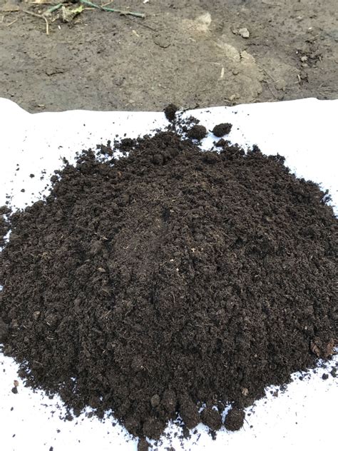 厂家销售 泥炭土草炭土营养土园林绿化种植腐殖土 20公斤/袋-阿里巴巴